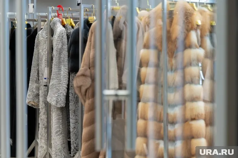 Силовики изъяли у челябинца 225 меховых изделий на общую сумму 19 млн рублей