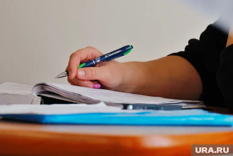 Курганская экс-чиновница выиграла суд у администрации Юргамыша