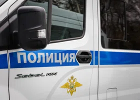 Очевидцы обсуждают, что детей в Половинном сбил на внедорожнике бизнесмен