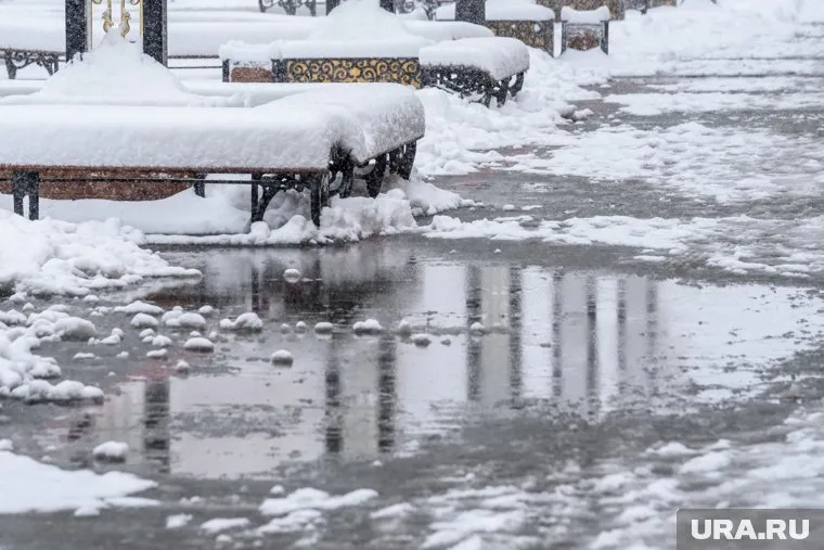 Днем в Екатеринбурге температура воздуха поднимется до +7 градусов