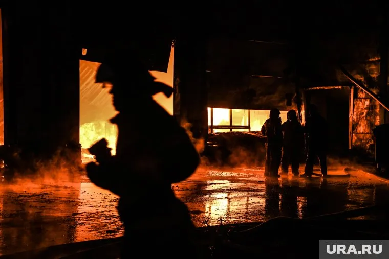 Всем пострадавшим от пожаров окажут помощь