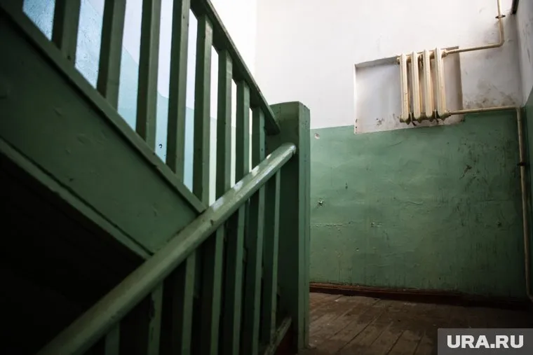 В подъезде из-за кроликов шумно и стоит неприятный запах