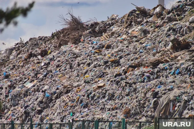 Городская свалка попала под реорганизацию