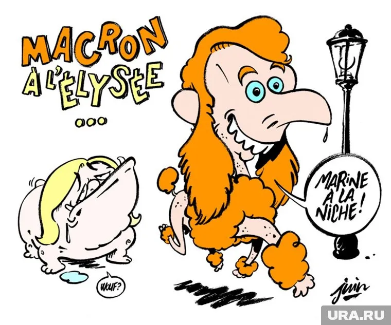 Пока неизвестно о реакции на карикатуру кандидатов