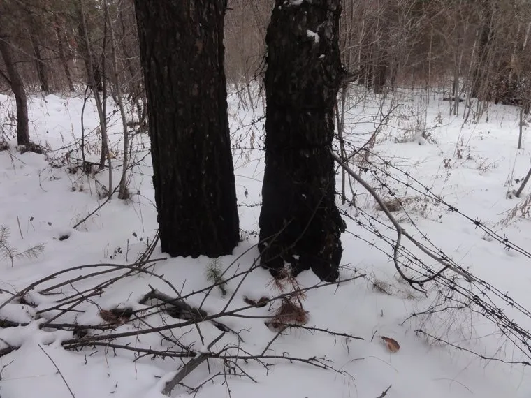 Кыштым. Интервью со следователем Бендлиным, памятник инопланетянину Алешеньке