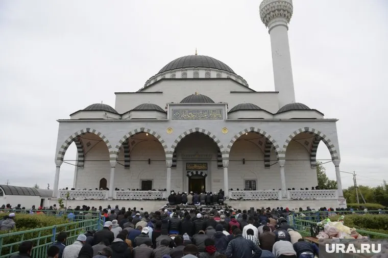 Сотрудники полиции проверяют документы у мигрантов