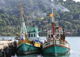 Фотография из галереи