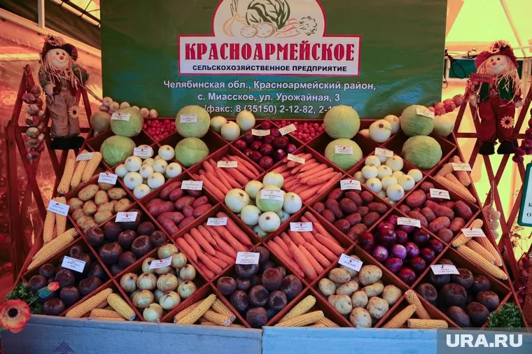 Центр нового управления Россельхознадзора находится в Челябинске