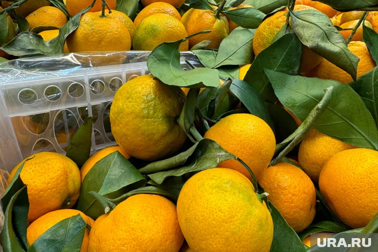 Средняя цена килограмма по Тюмени составляет 255 рублей