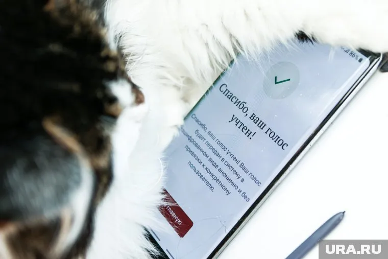 Свои голоса за президента дистанционно отдали 3,8 млн человек