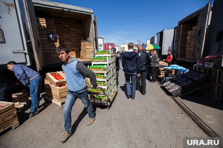 Силовики проверют на овощебазе гастарбайтеров