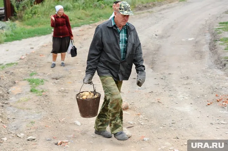 Челябинским садоводам приходится полкилометра идти до надземного перехода, который сделали вместо обычной зебры