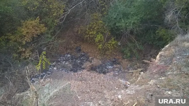 На фотоотчете, который прислали из Неклиновского района, заметны следы ретуши