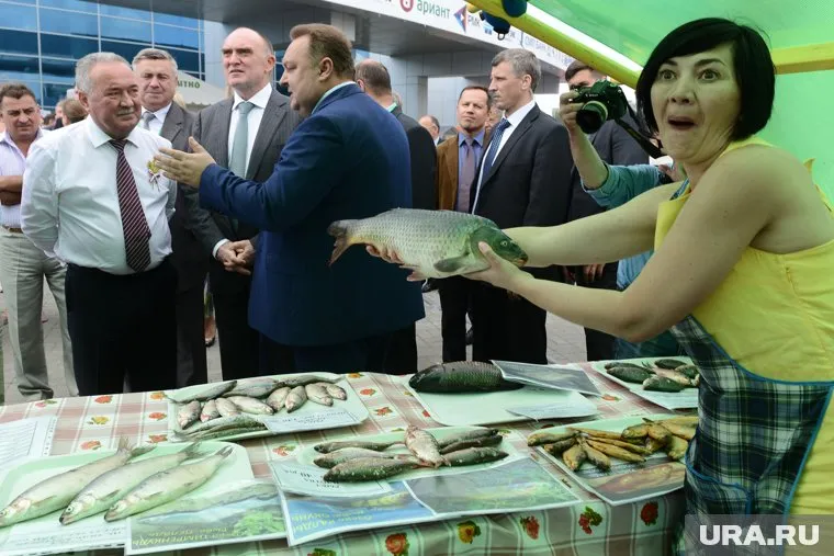 Рыбу разводили напоказ: компания хотела восстановить экологию. Но злоумышленники решили на этом заработать