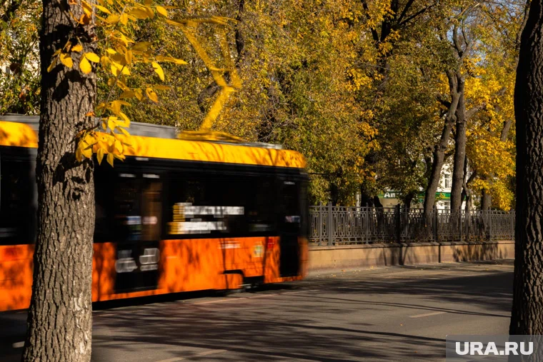 Первый снег может появиться уже в ближайшие выходные