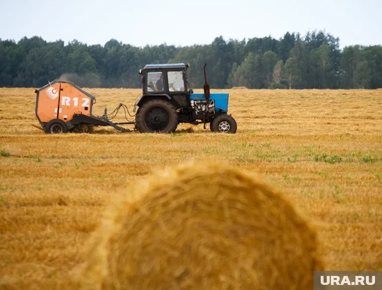 Из-за выросших цен на дизельное топливо у аграриев по всей стране возникли проблемы с уборочной кампанией