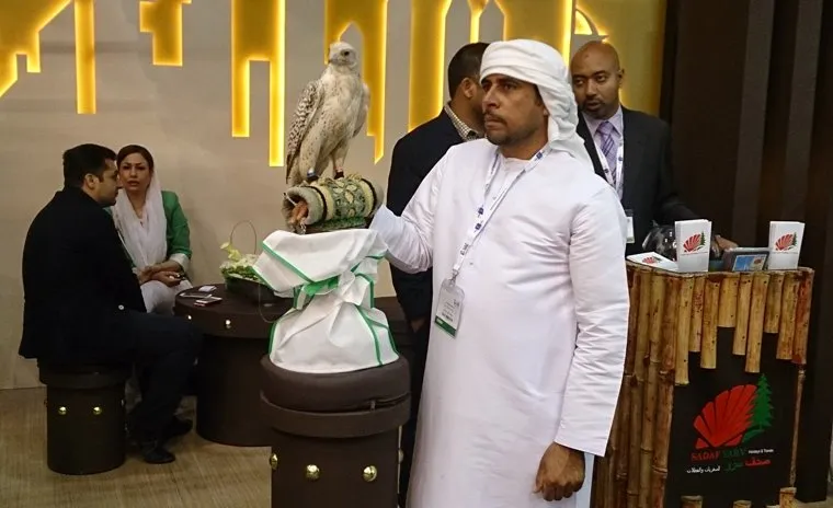 Флайдубай, полет бизнес-классом на самолете Боинг-737-800 в Дубай, ОАЭ. 4-7 мая 2014