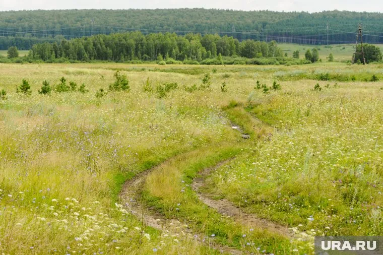 Инцидент произошел в селе Мостовском под Верхней Пышмой (архивное фото)