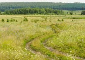 «Поджидал ее в кустах»: как парень напал на 12-летнюю девочку под Екатеринбургом