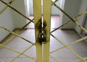 Фотография из галереи