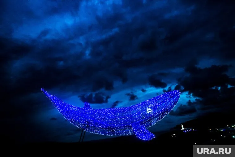 Детский омбудсмен на Ямале обещал заблокировать «группы смерти» в соцсетях