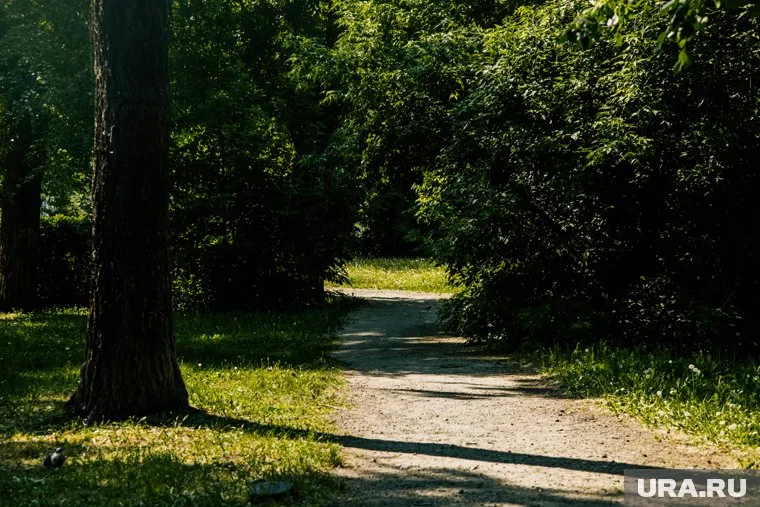 Июль этого года оказался самым холодным за последние 10 лет