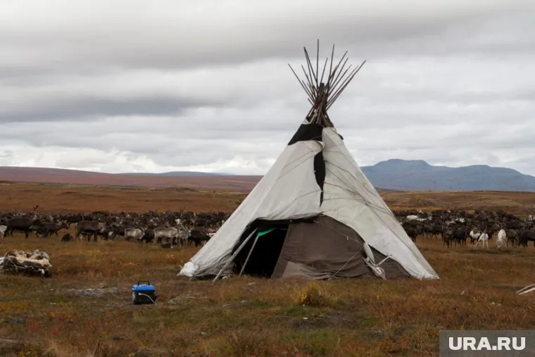 Ямалец установил чум на берегу моря
