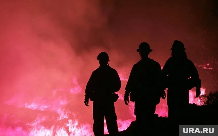 Пожарным удалось спасти только мужчину (архивный снимок)