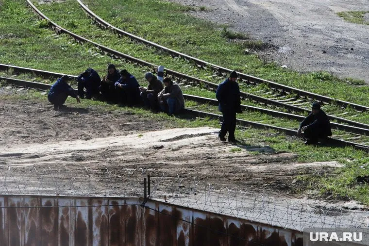 На строительство инфраструктуры БАМ и Транссиба могут привлечь заключенных.