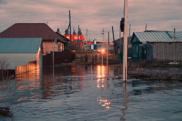 Звериноголовское. Курган