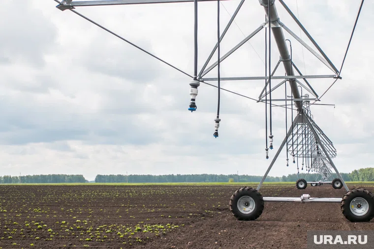 Агрофирма курганского депутата оказалась втянутой в скандал с мигрантами