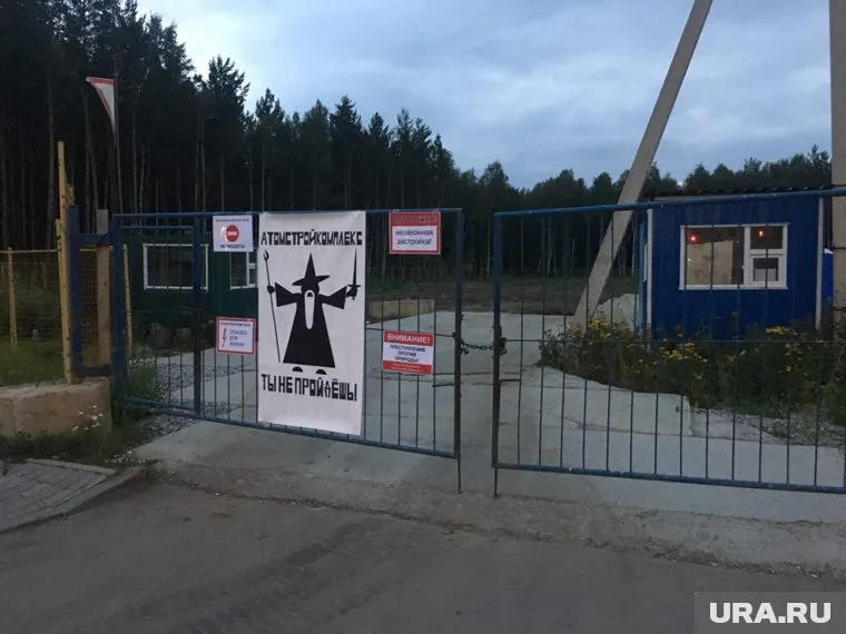 Активисты требуют остановить вырубку леса