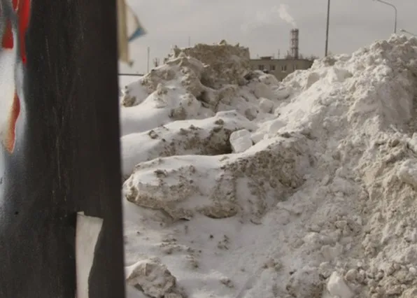 Фотография из галереи