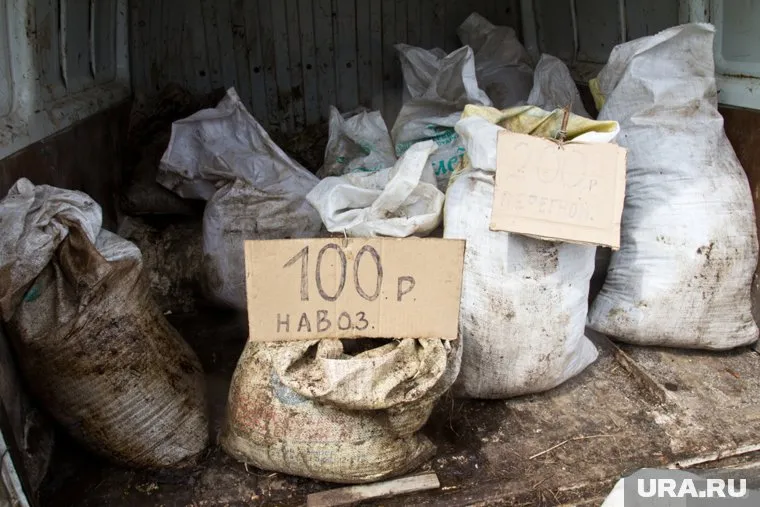 Активисты «Гражданского конгресса» вывалили у здания парламента Молдавии навоз