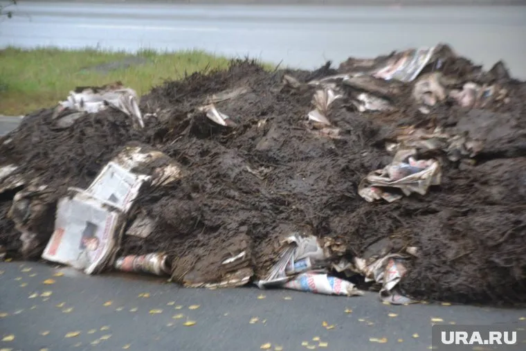 Полиция задержала ответственного за кучу навоза у дома Севастьянова