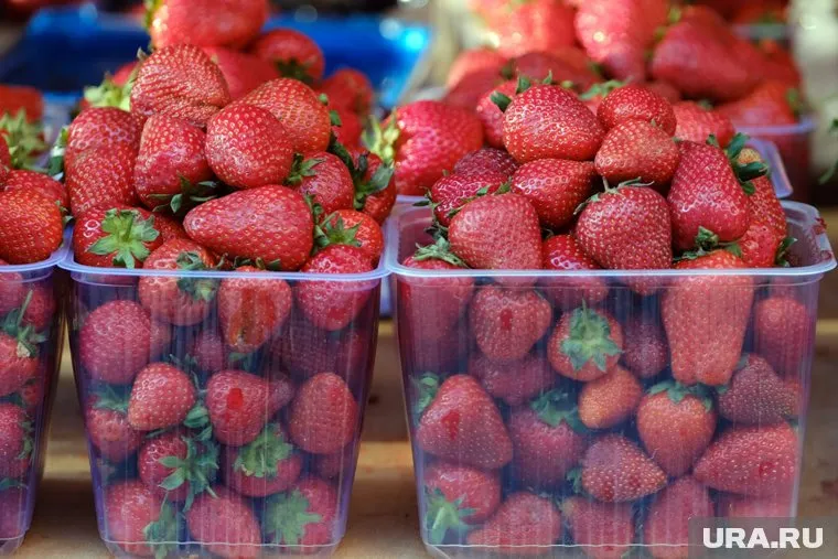 Свердловчанка пожаловалась, что собранная клубника крайне малого размера