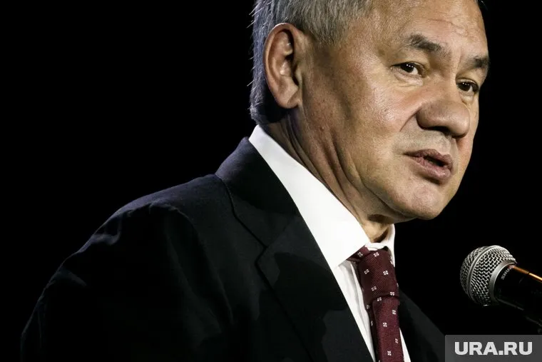 Сергей Шойгу назвал Иран стратегическим партнером на Ближнем Востоке