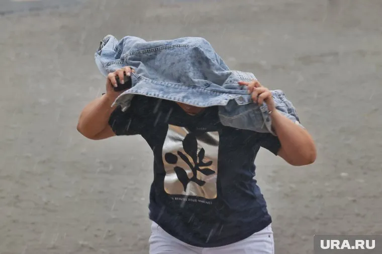 Осадки ожидаются 20 июня