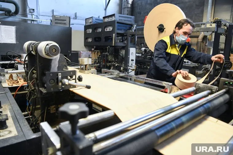 Власти РФ ищут новые возможности для импортозамещения