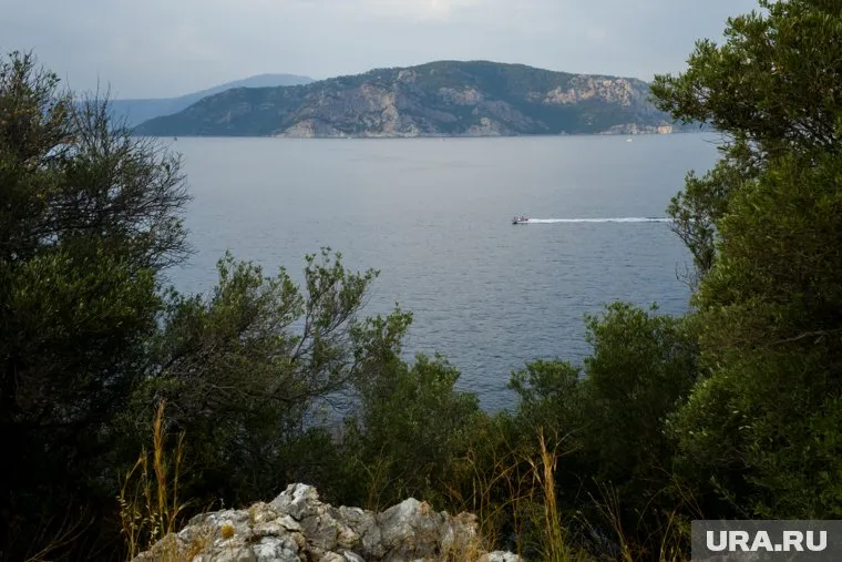 От рук директора туристической фирмы «Любомира» могли пострадать несколько человек