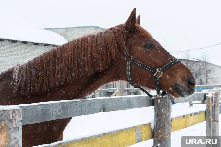 Новая площадка улучшит реабилитацию особенных детей