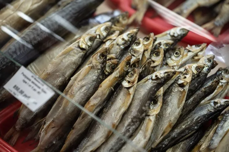 Клипарт. Салехард