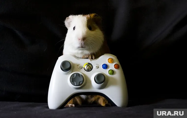 Жители Тюменской области столкнулись с блокировкой приставок Xbox