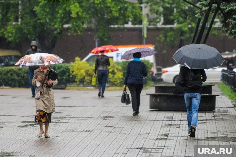 Синоптики пообещали сильные дожди