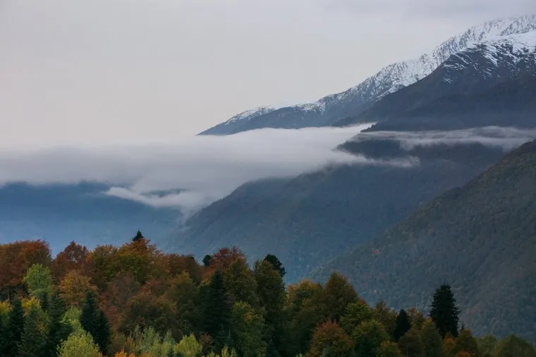 Дискуссионный клуб "Валдай". Второй День. Красная Поляна, кавказ, туман, горы