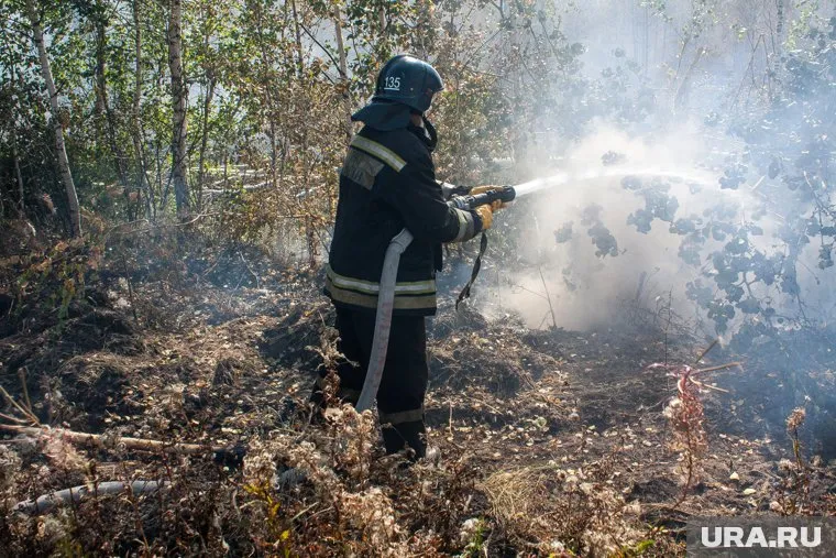За сутки происходит до 20 возгораний леса