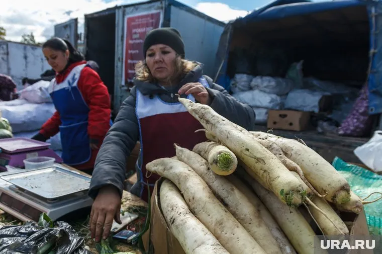 Профессия овощевода вошла в число самых востребованных профессий