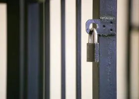 Всплыли новые подробности громкого дела экс-невестки Чернецкого: десятки фирм и 400 млн