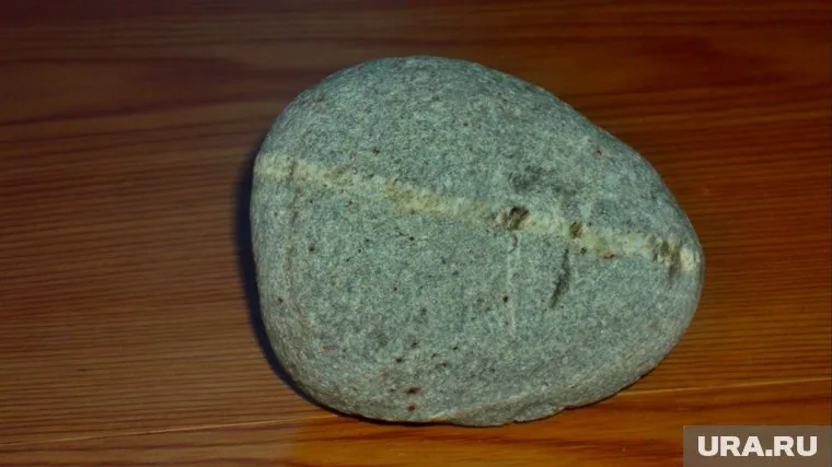 Валентин Дегтерев уверен, что это яйцо тираннозавра