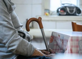 На Ямале  увеличат гранты для партнеров «Ямальского долголетия»